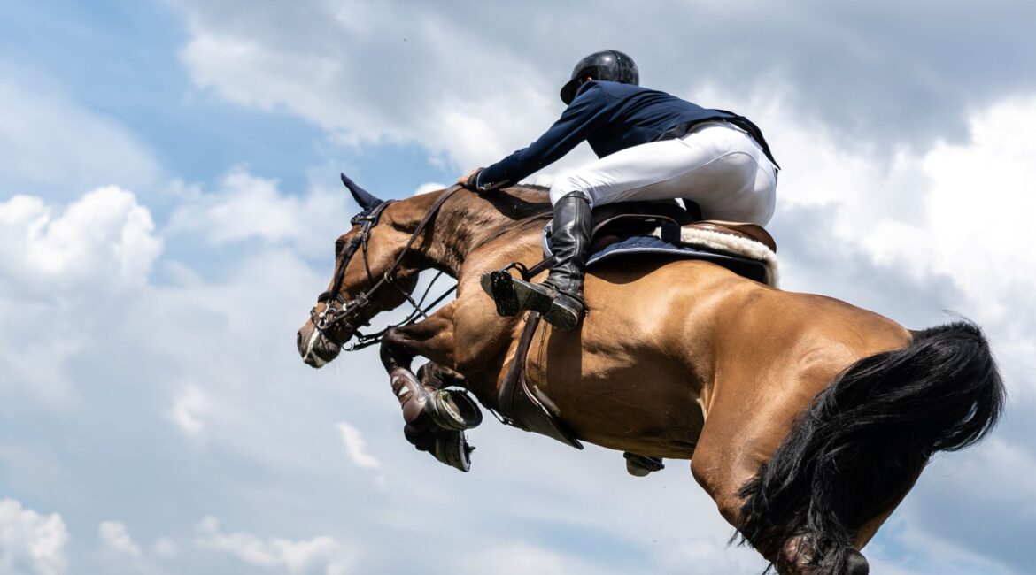 showjumping horse clearing an obstacle with rider in competition setting, strong focus and collected motion, equitation horses for sale
